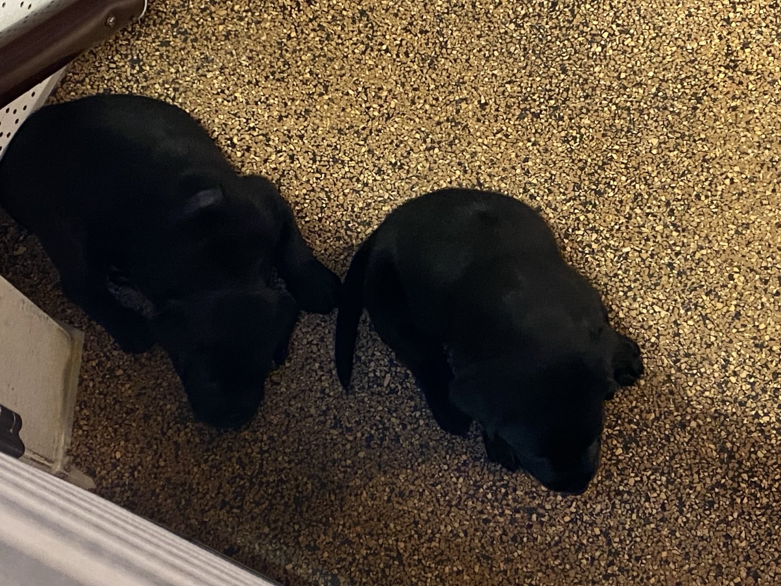 Wanderungen & Ausflüge