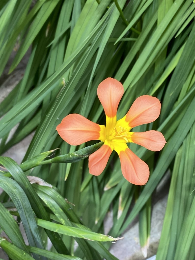 Wanderungen & Ausflüge