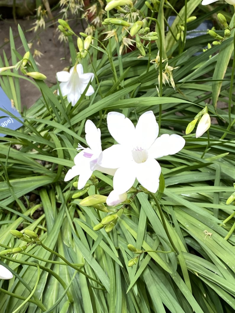 Wanderungen & Ausflüge