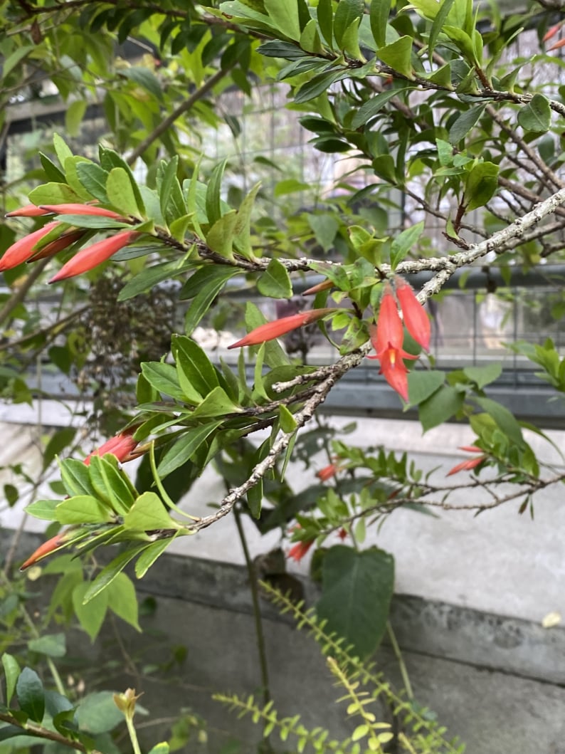 Wanderungen & Ausflüge