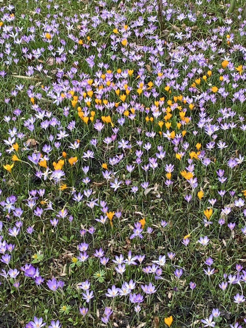 Wanderungen & Ausflüge