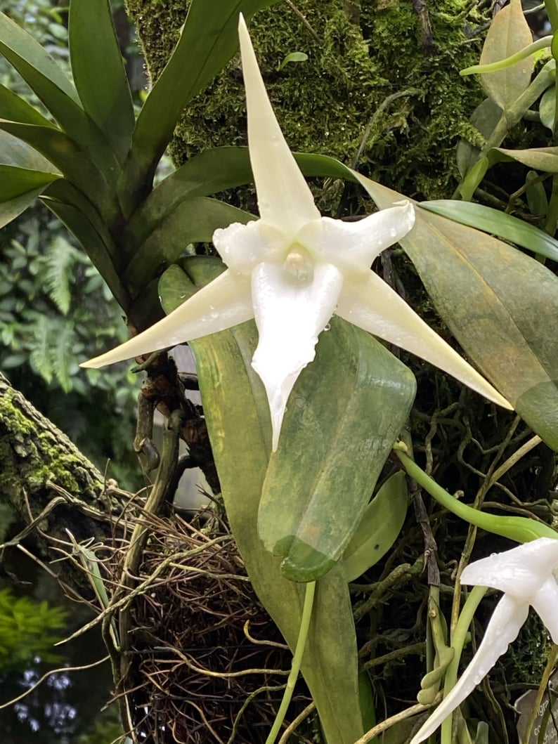 Wanderungen & Ausflüge