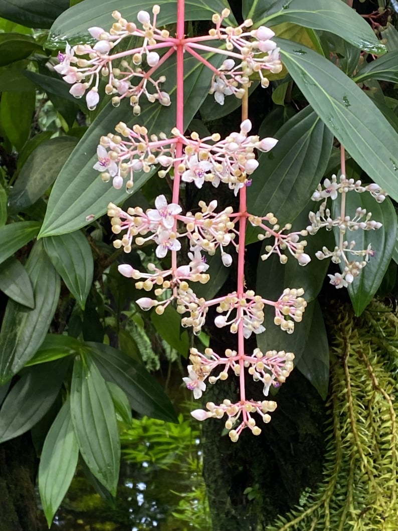 Wanderungen & Ausflüge