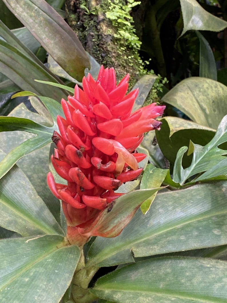 Wanderungen & Ausflüge