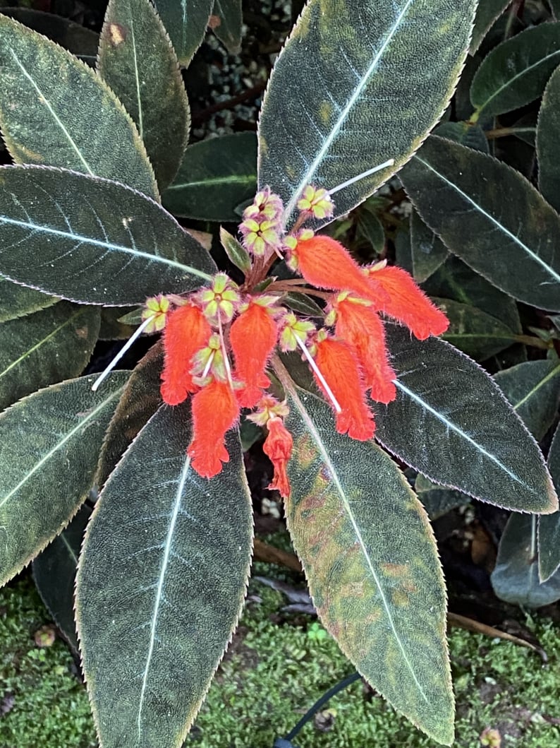 Wanderungen & Ausflüge