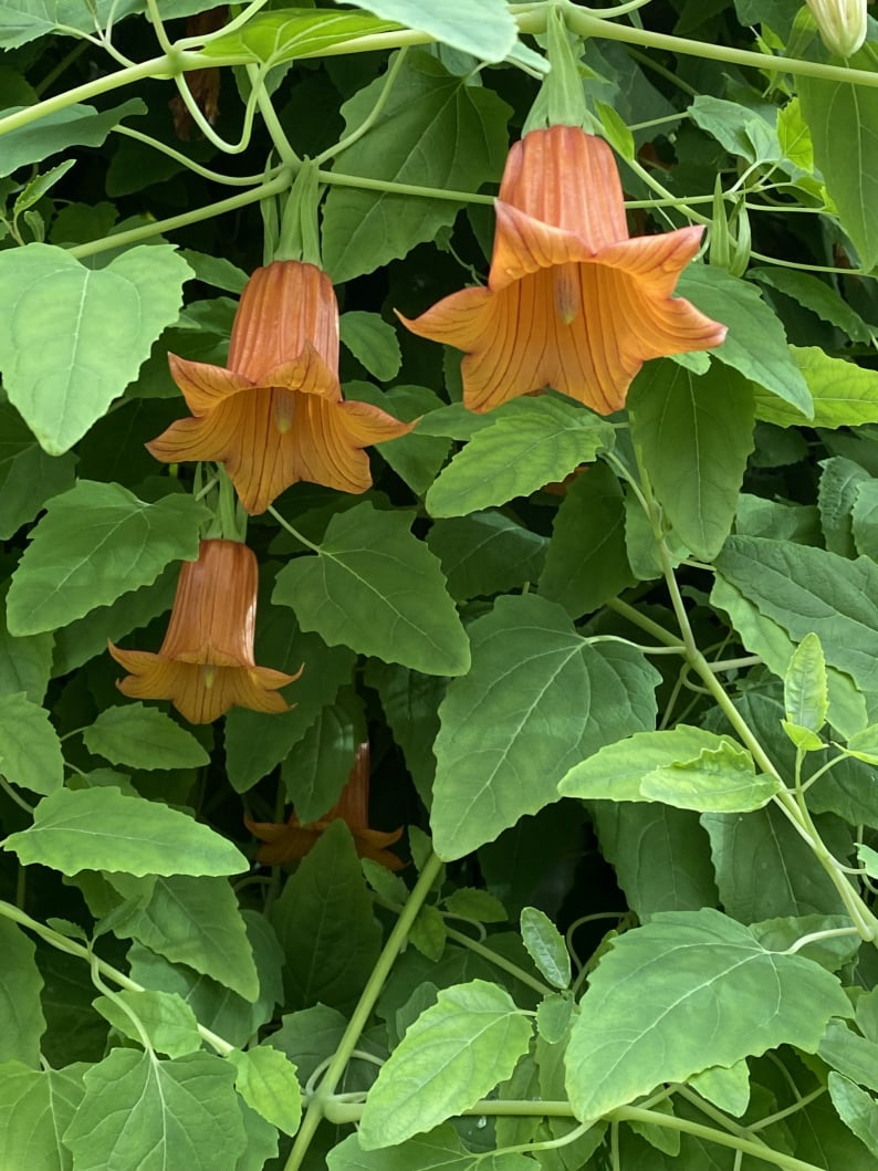 Wanderungen & Ausflüge