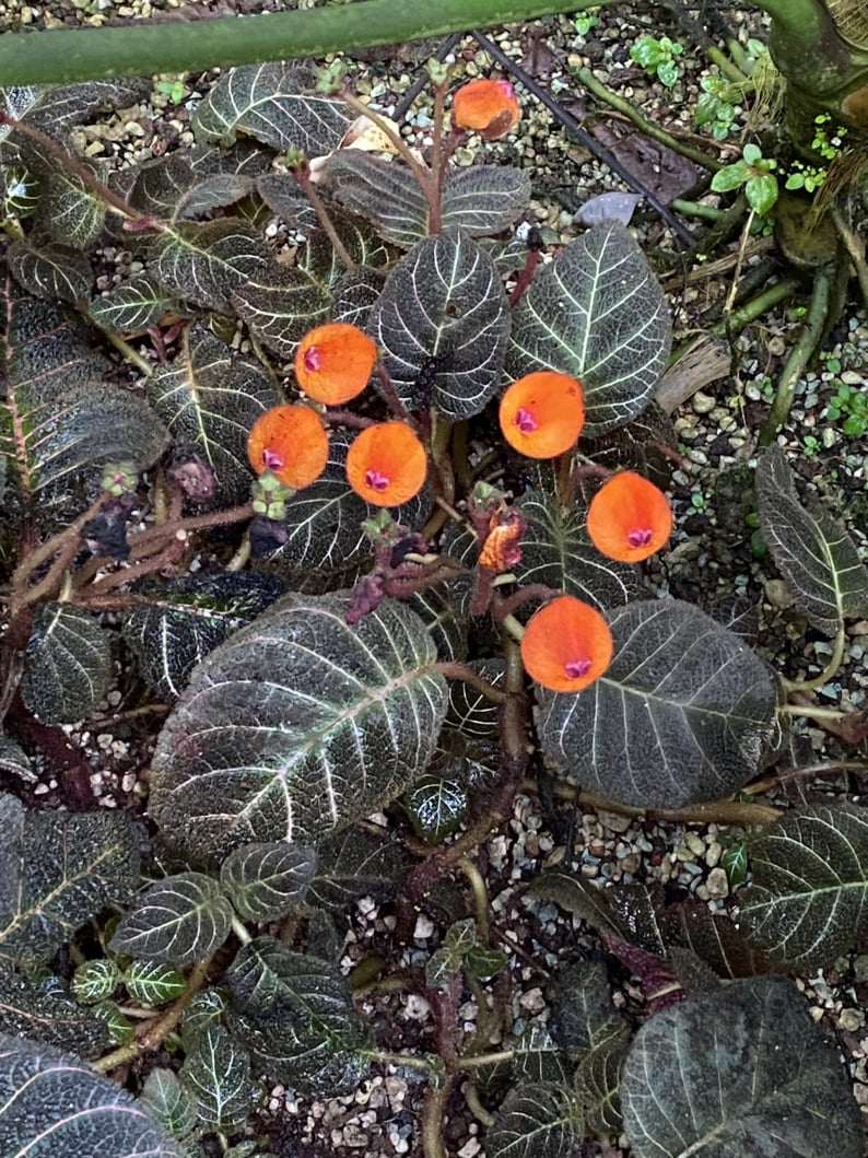 Wanderungen & Ausflüge