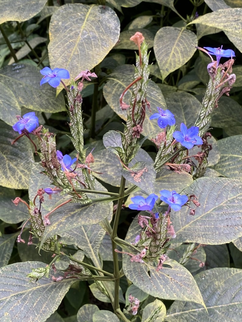 Wanderungen & Ausflüge