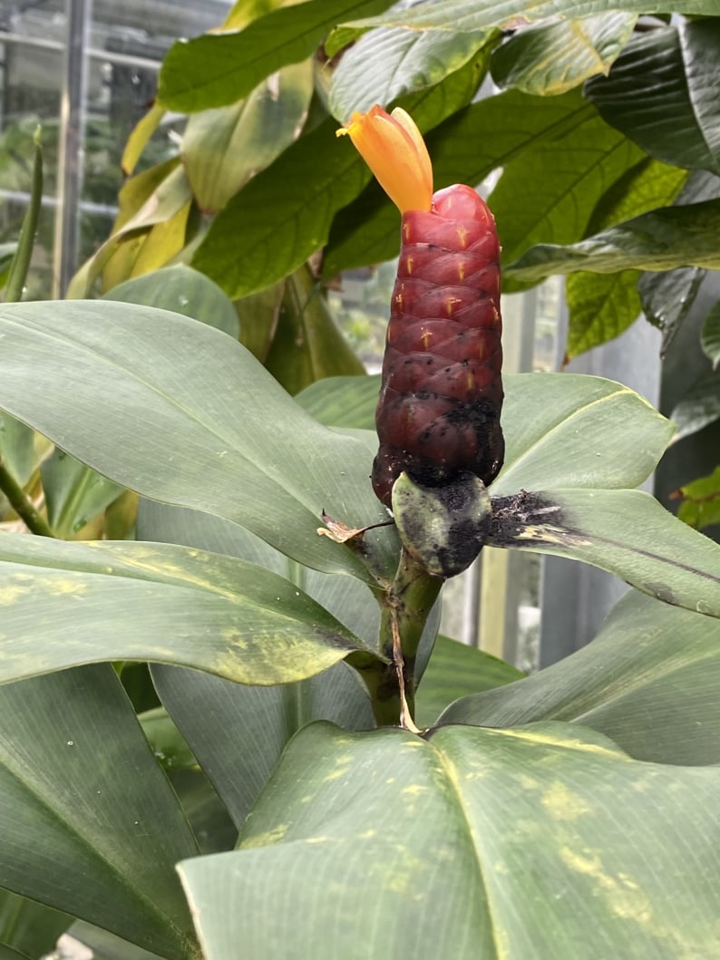 Wanderungen & Ausflüge