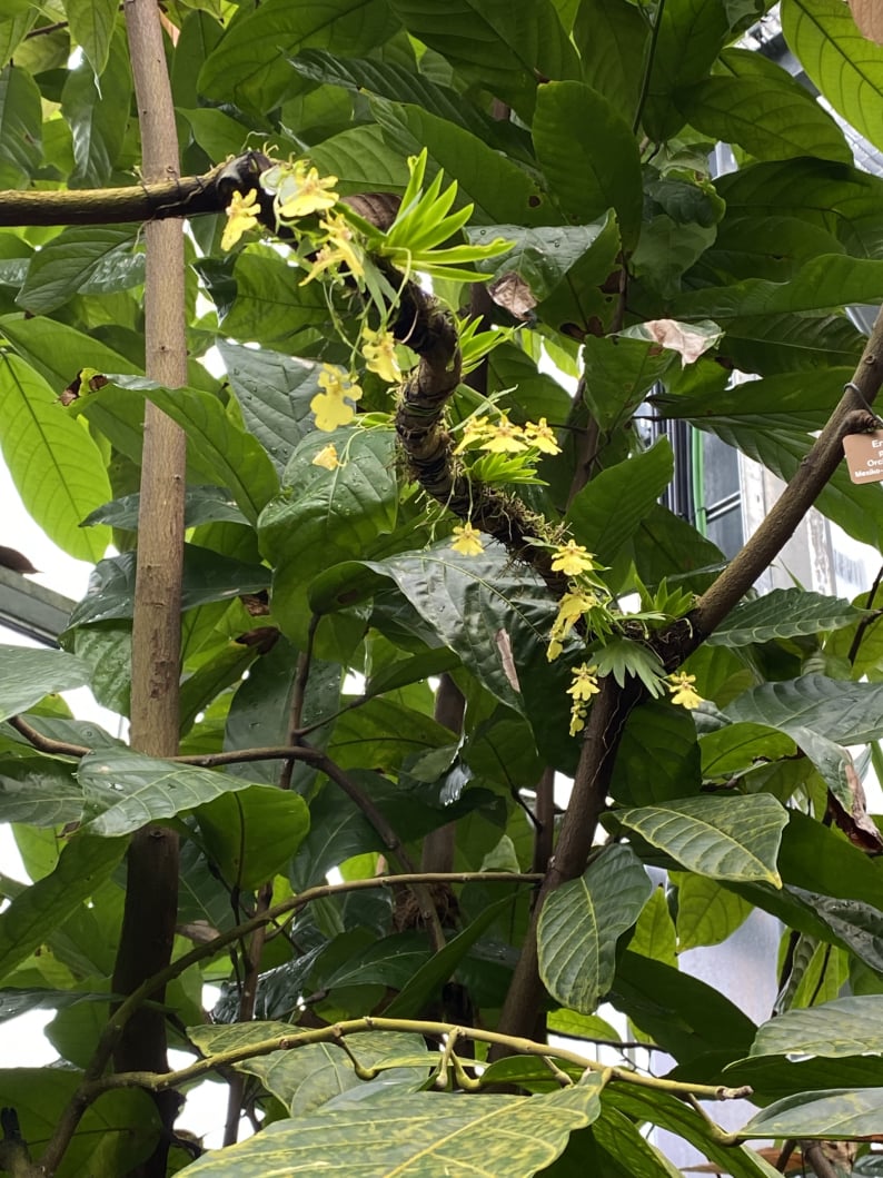 Wanderungen & Ausflüge