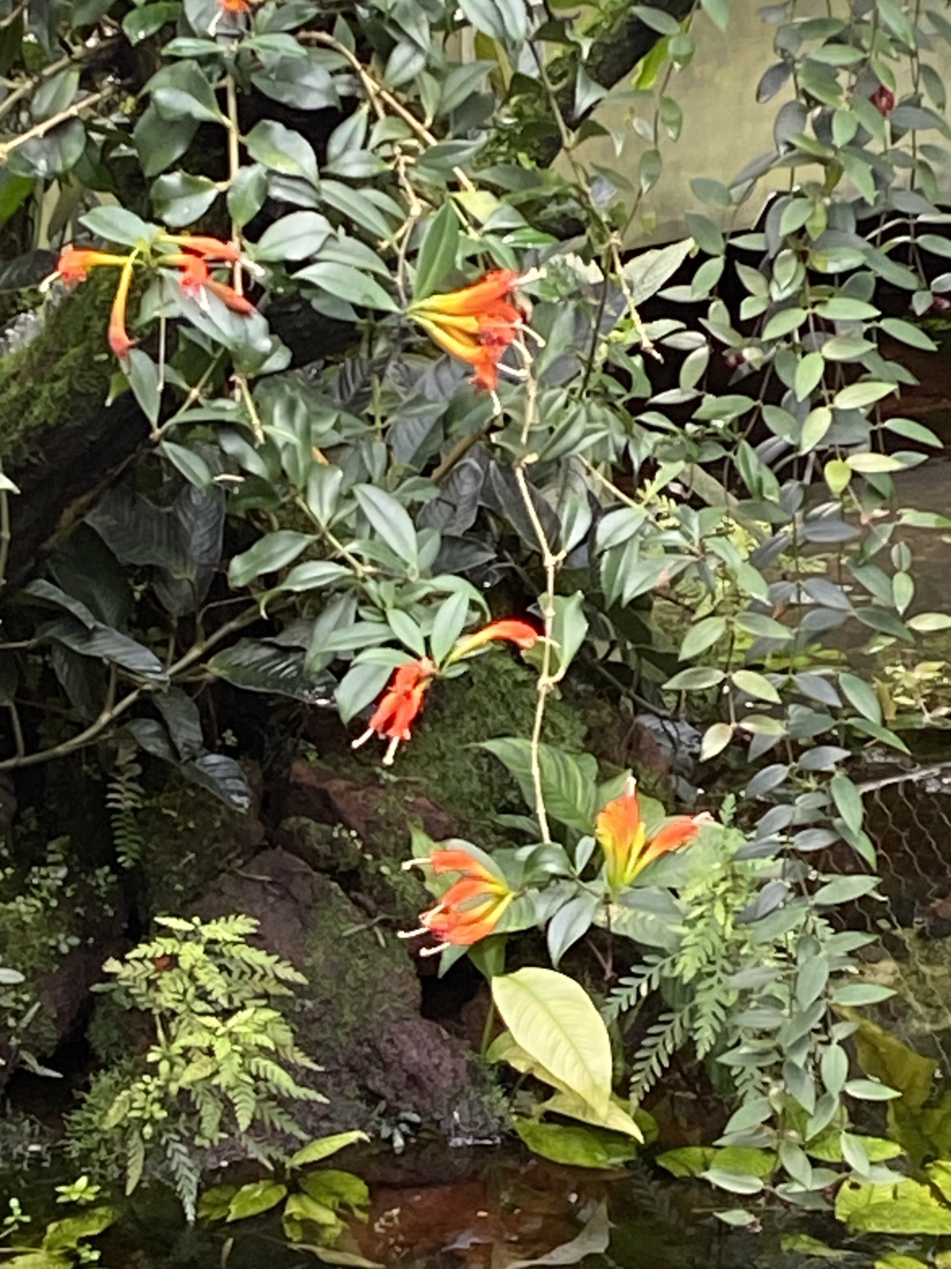 Wanderungen & Ausflüge