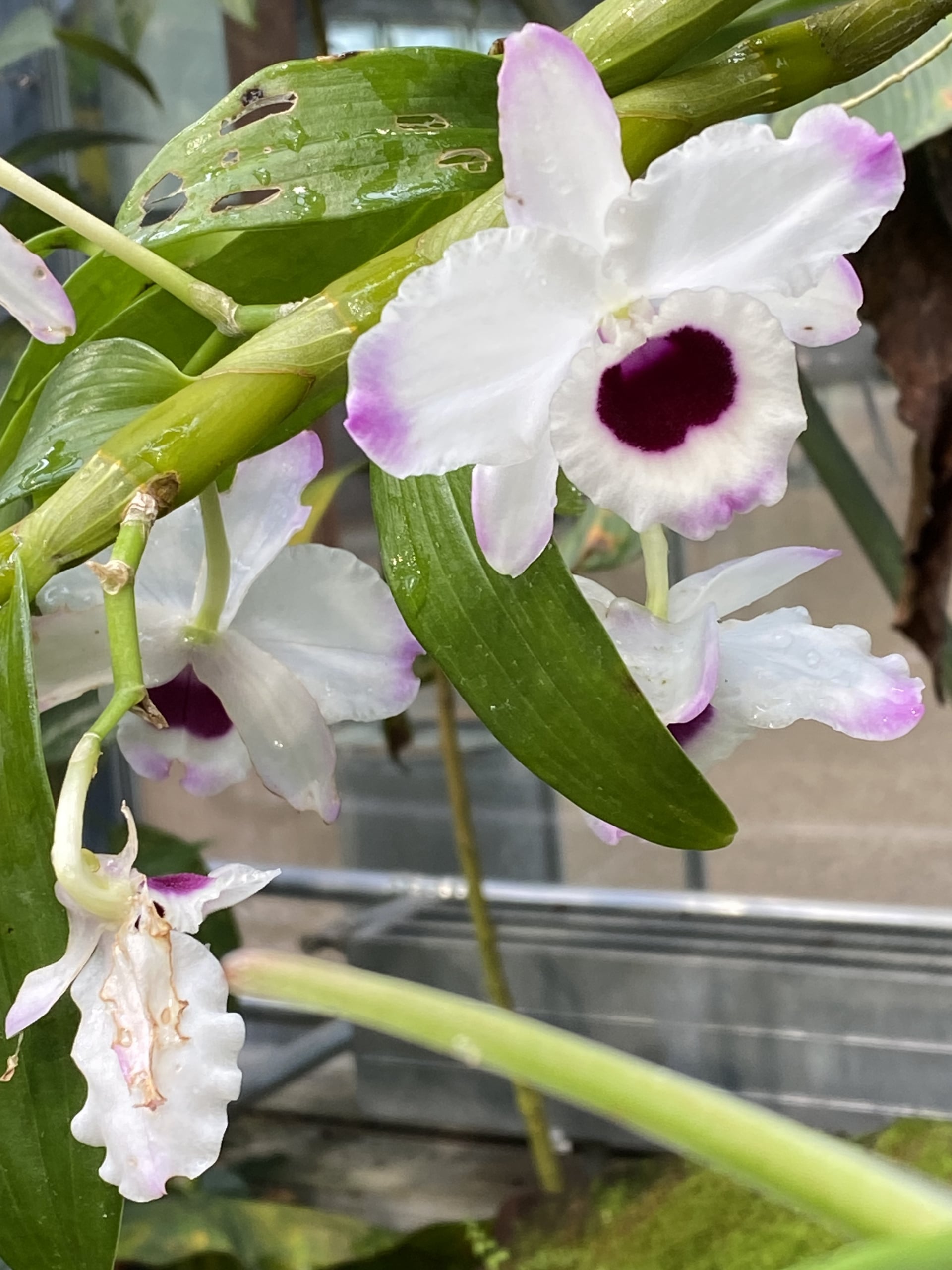 Wanderungen & Ausflüge