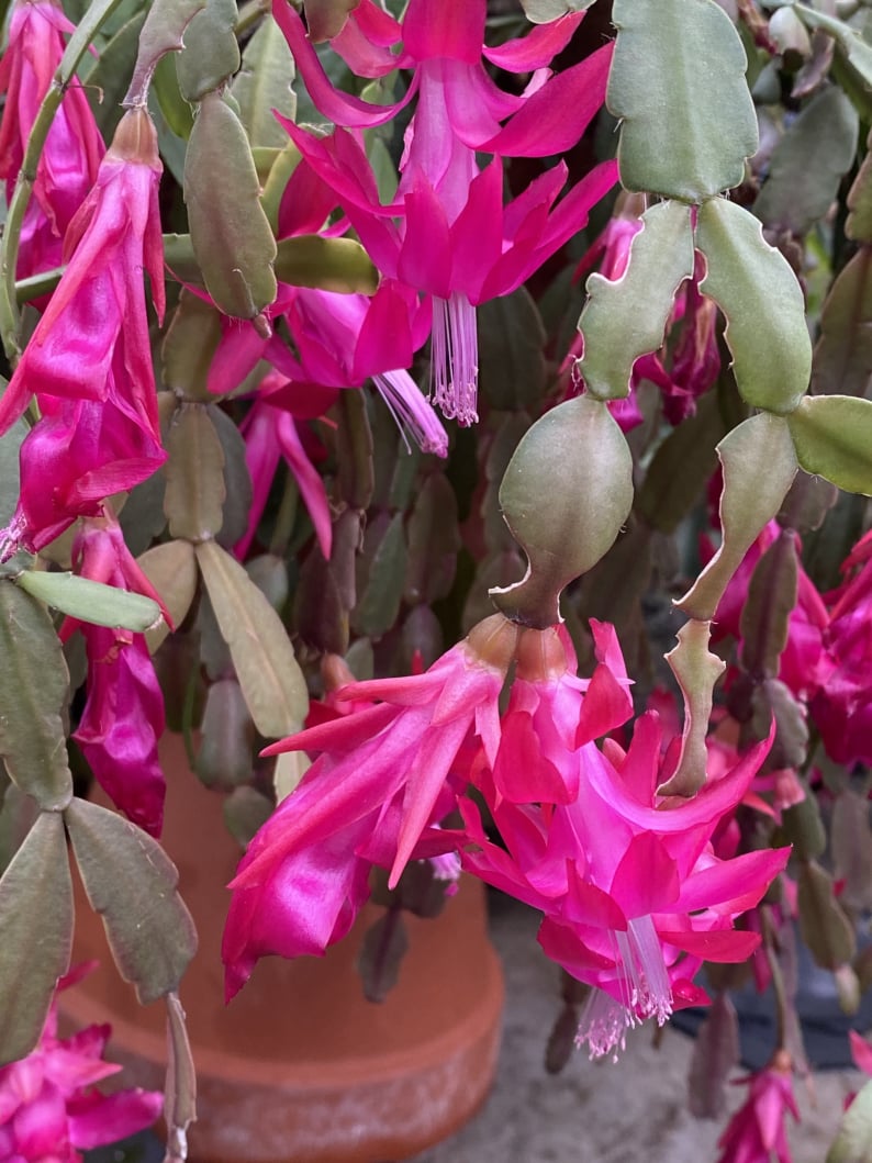 Wanderungen & Ausflüge