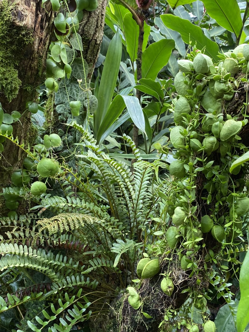 Wanderungen & Ausflüge