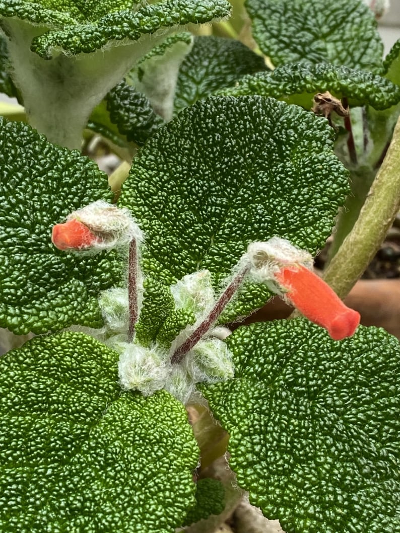 Wanderungen & Ausflüge