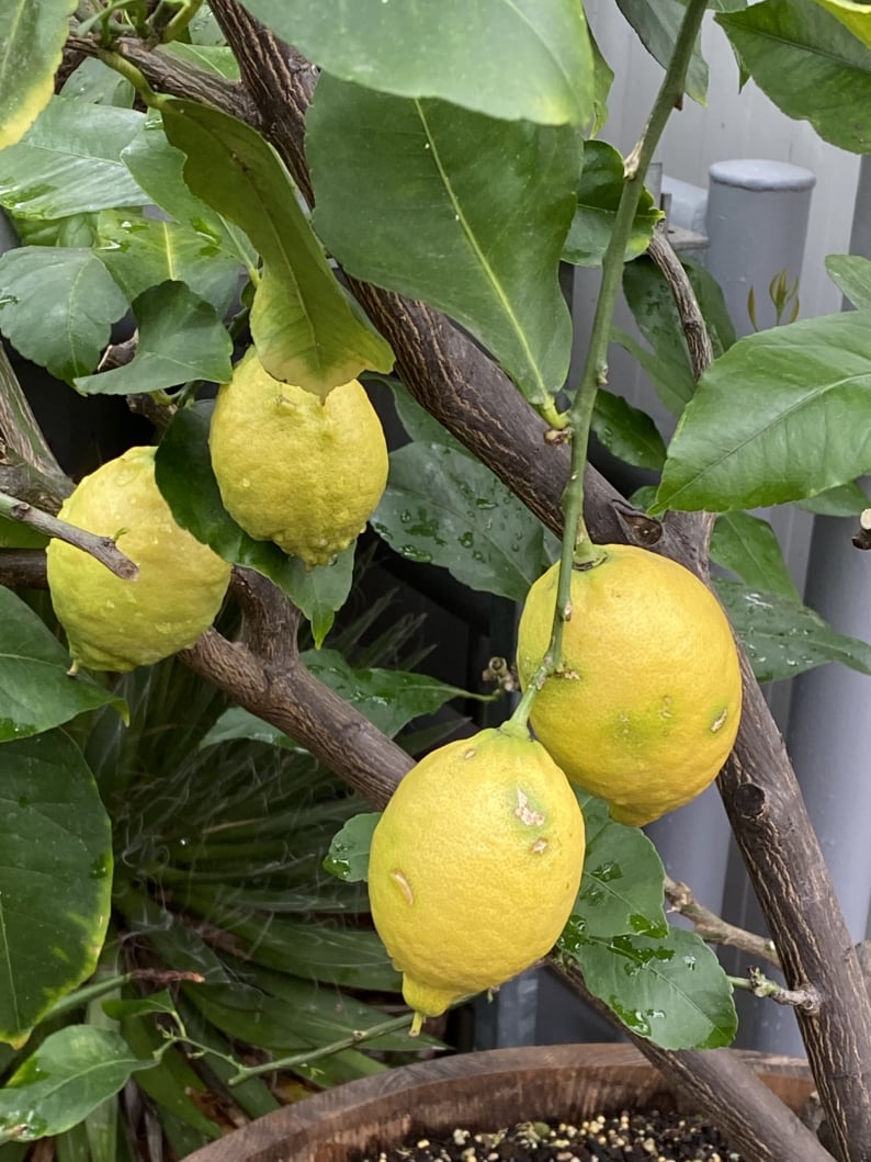 Wanderungen & Ausflüge