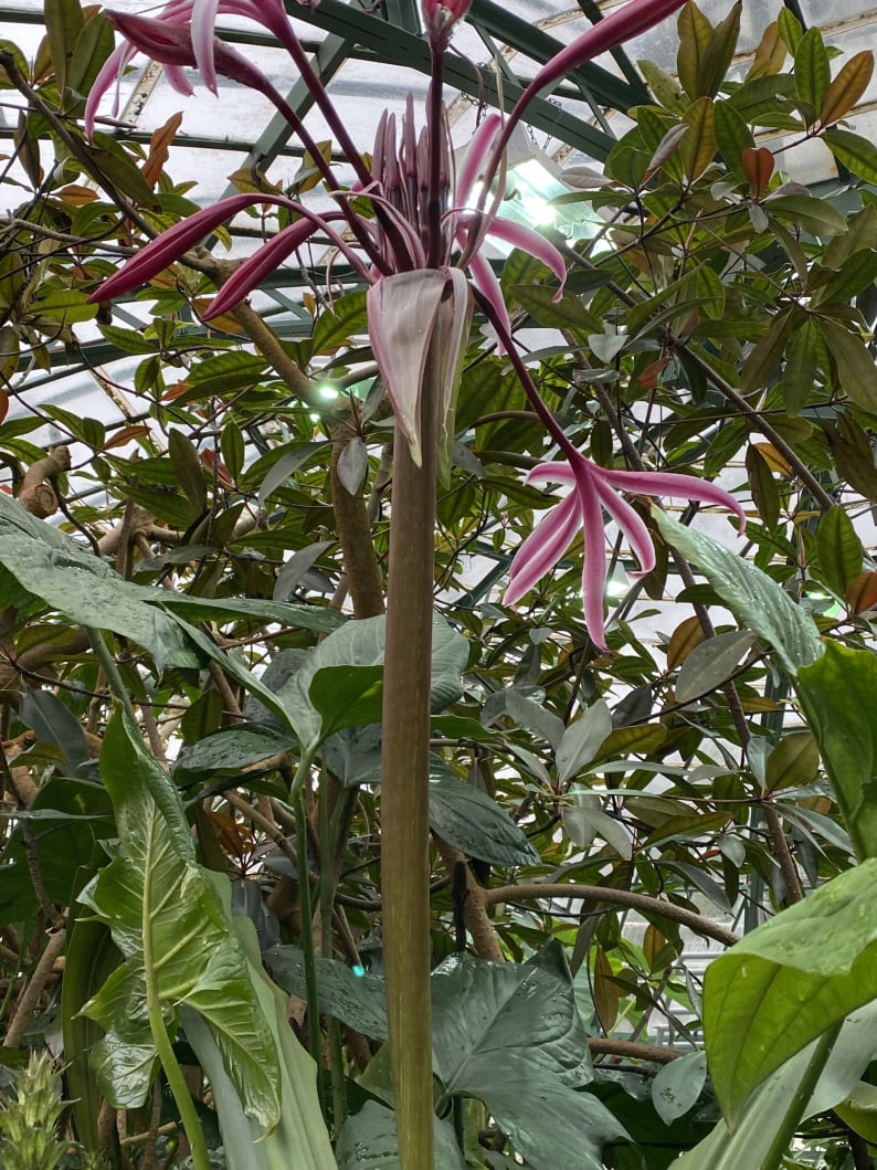 Wanderungen & Ausflüge