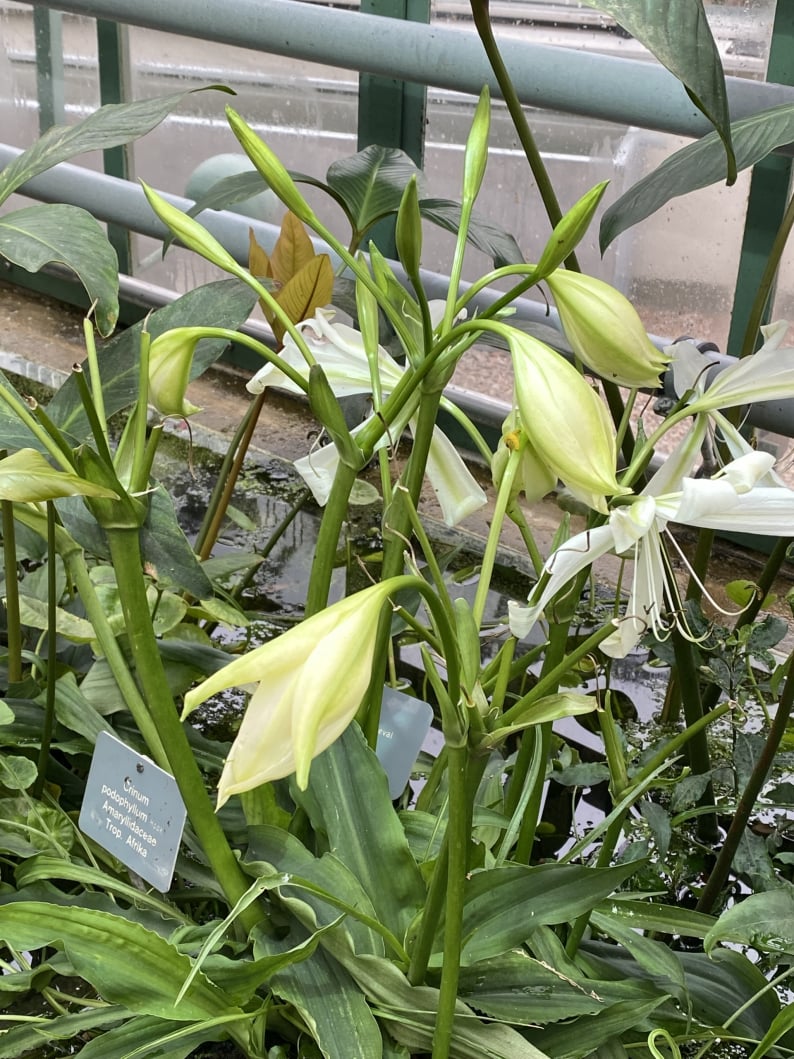 Wanderungen & Ausflüge