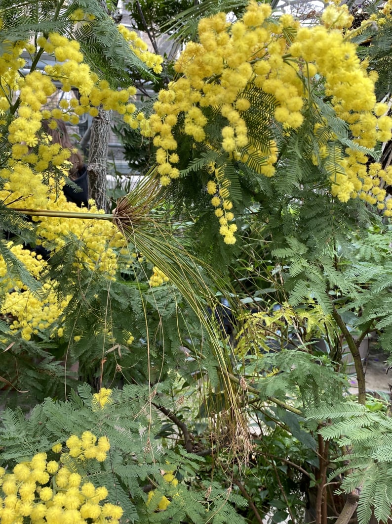 Wanderungen & Ausflüge