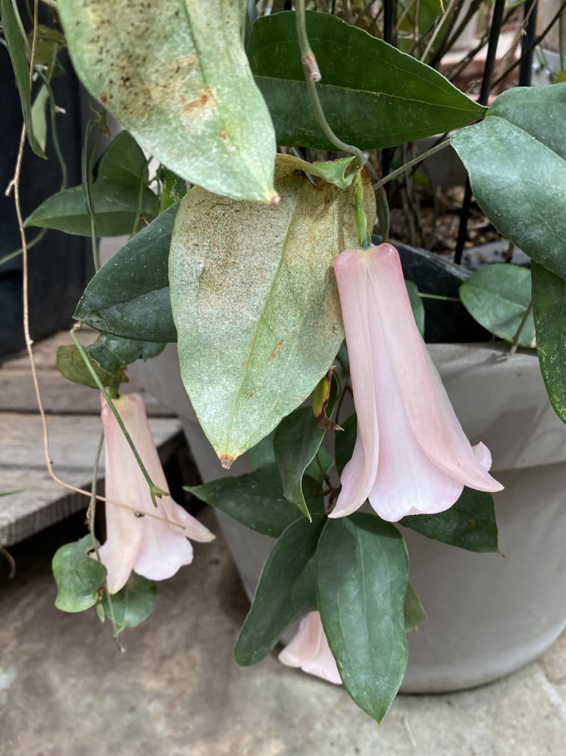 Wanderungen & Ausflüge