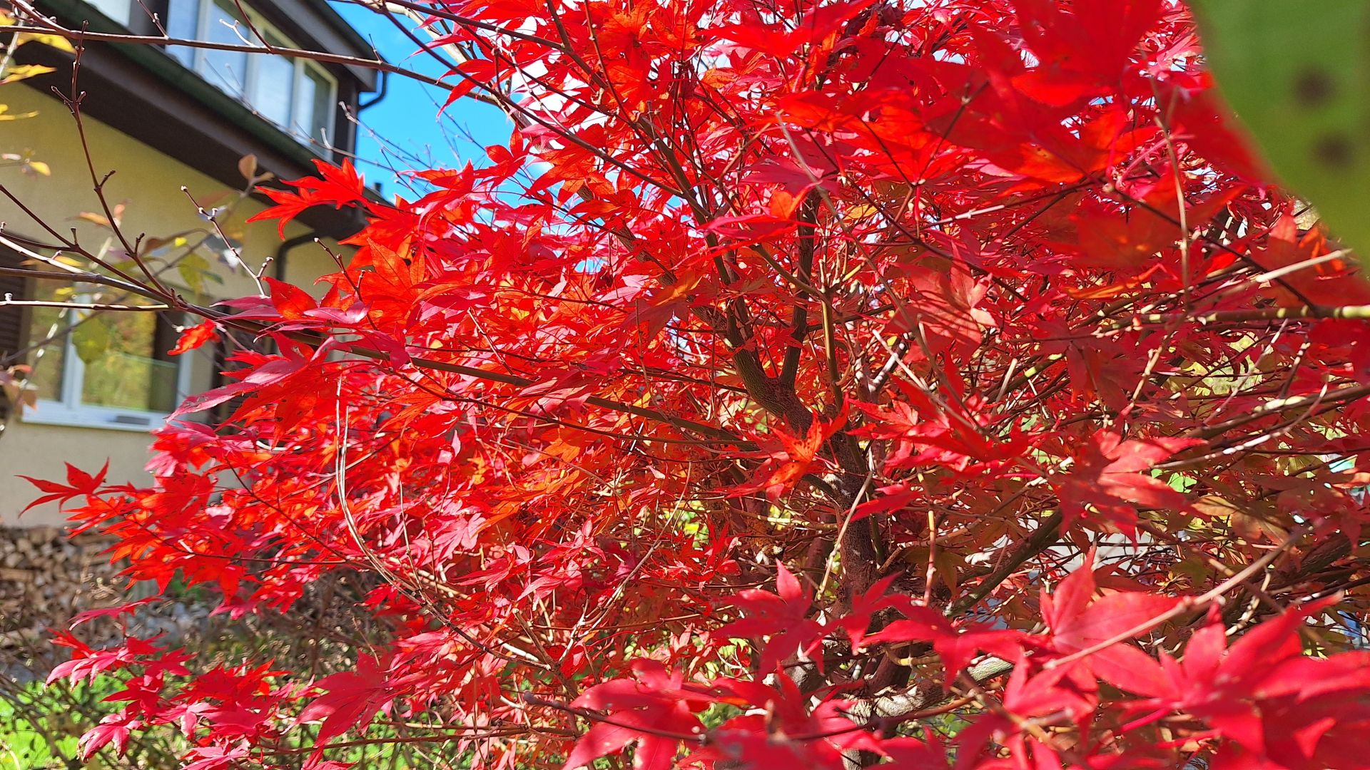 Wanderungen & Ausflüge