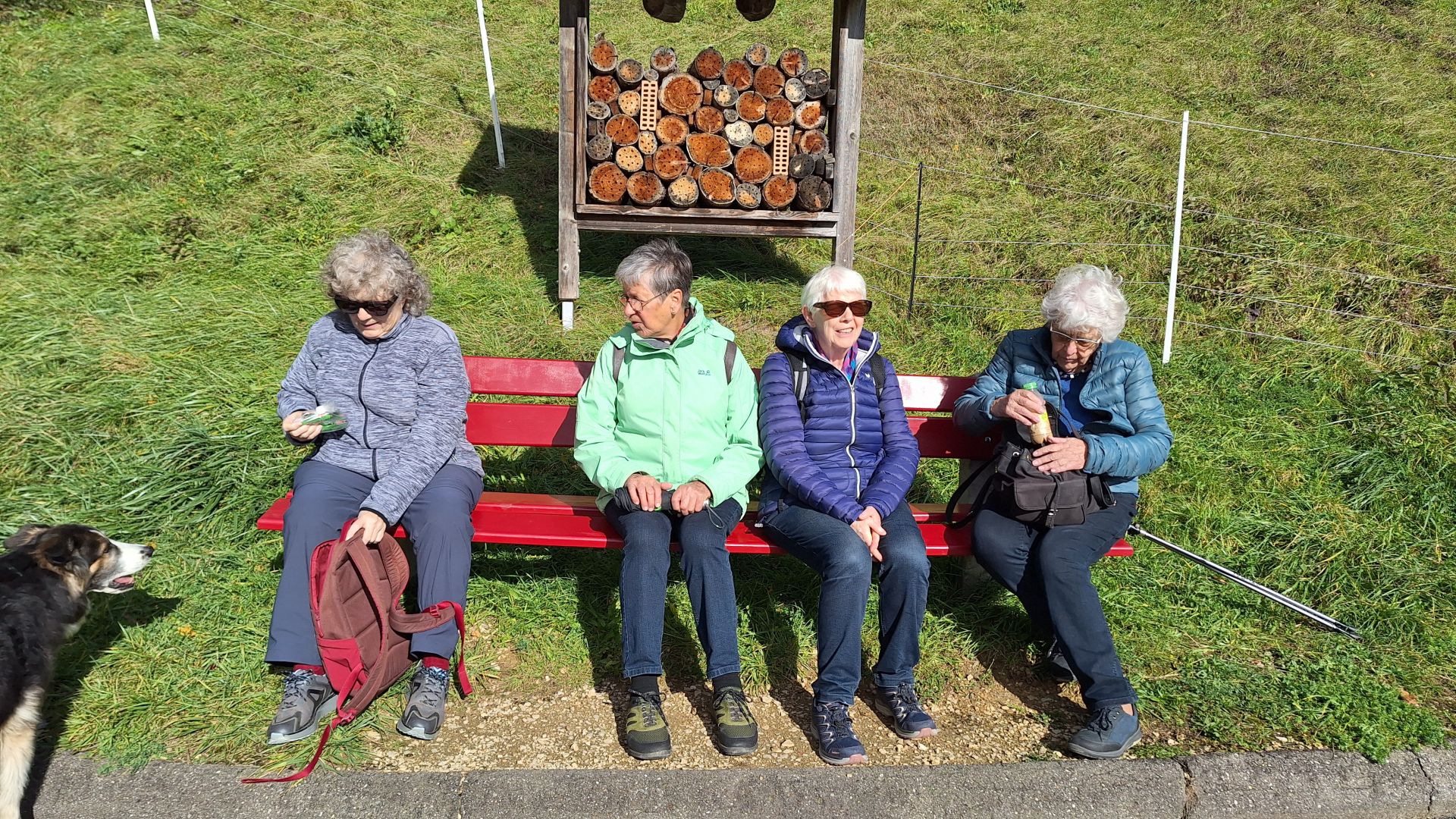 Wanderungen & Ausflüge