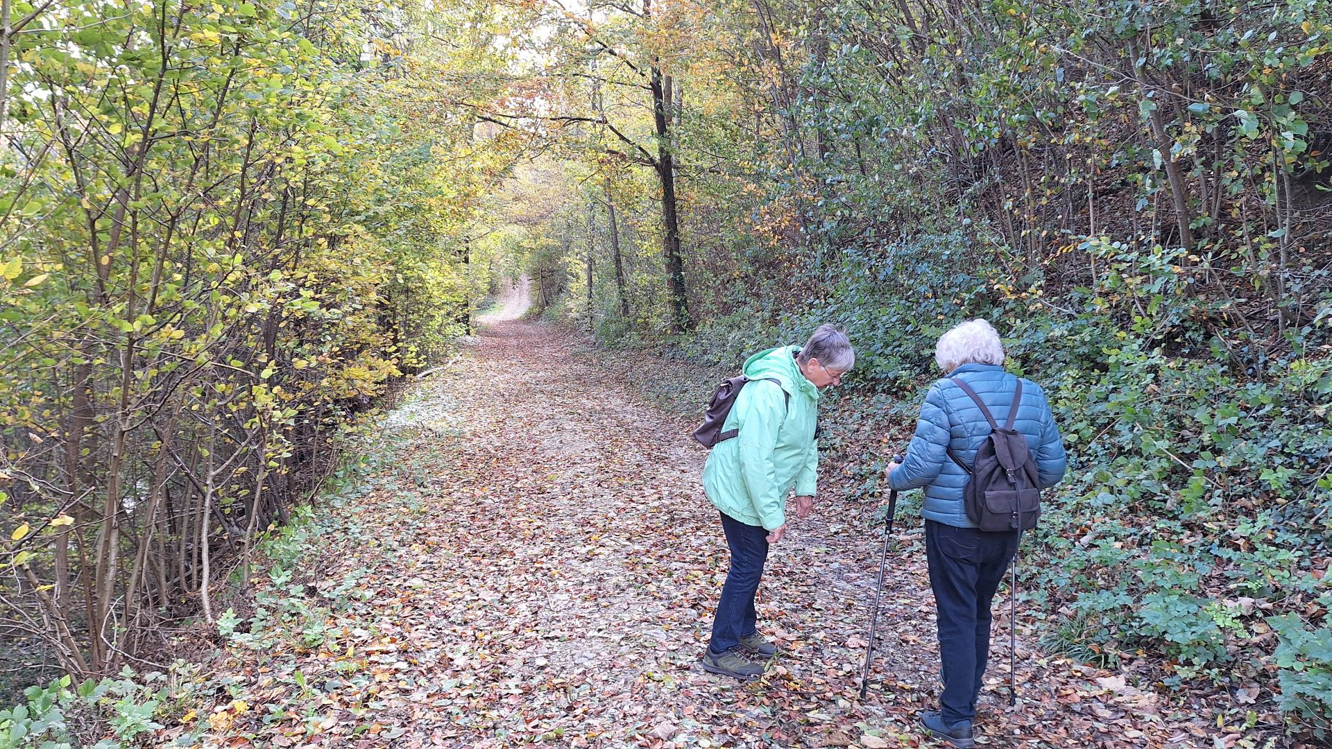 Wanderungen & Ausflüge