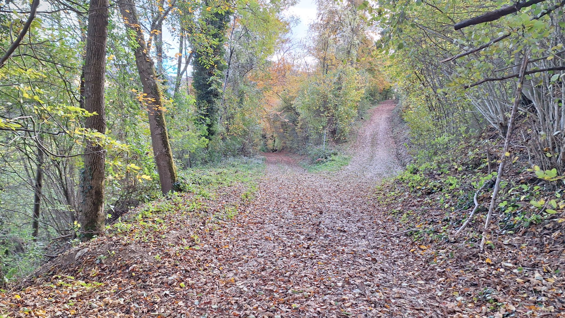 Wanderungen & Ausflüge