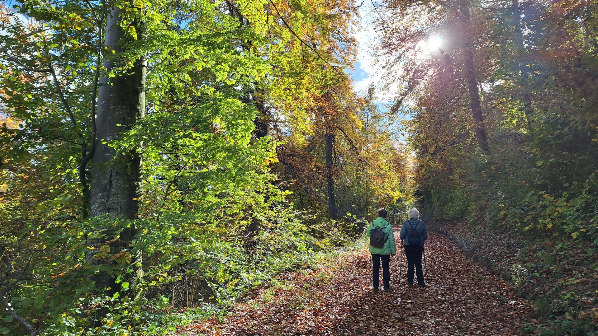 Wanderungen & Ausflüge