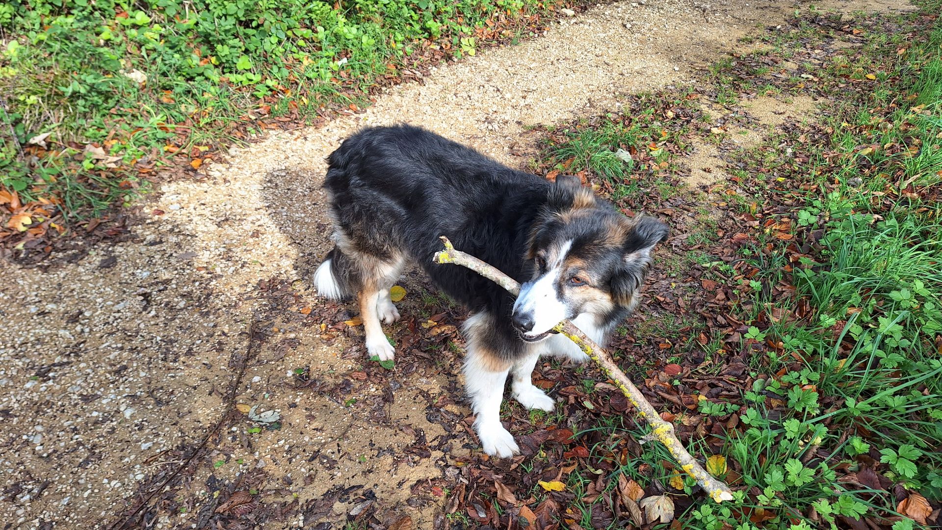 Wanderungen & Ausflüge