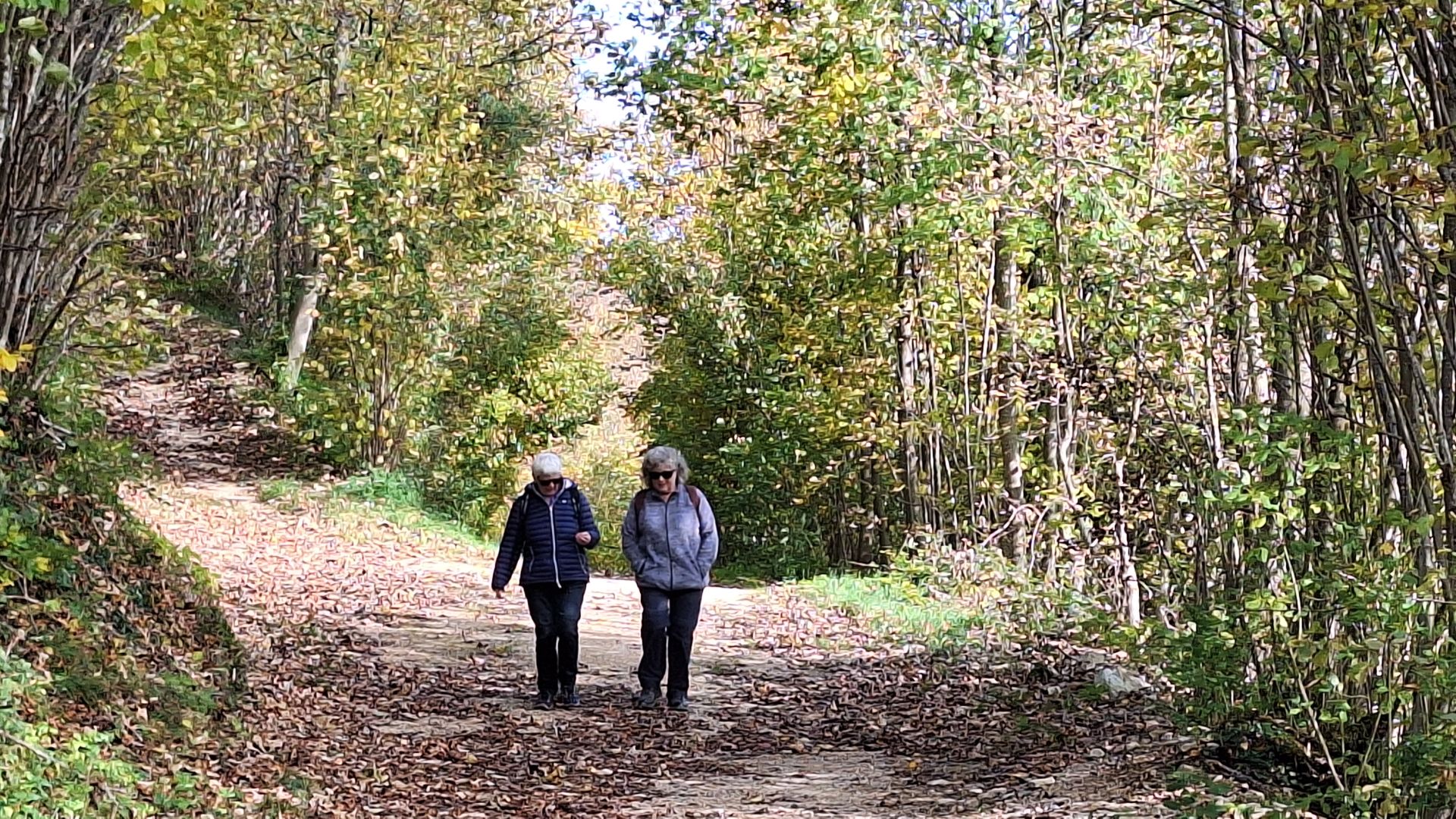 Wanderungen & Ausflüge