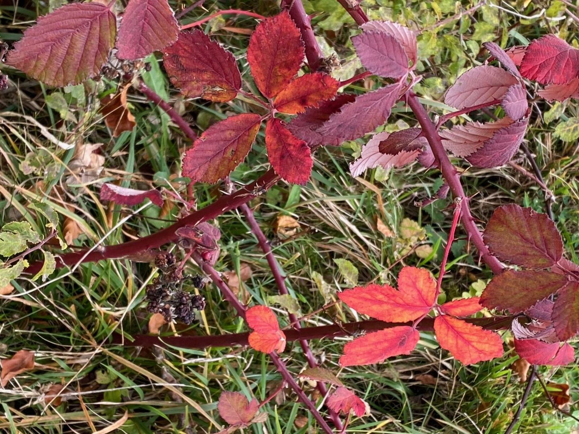Wanderungen & Ausflüge