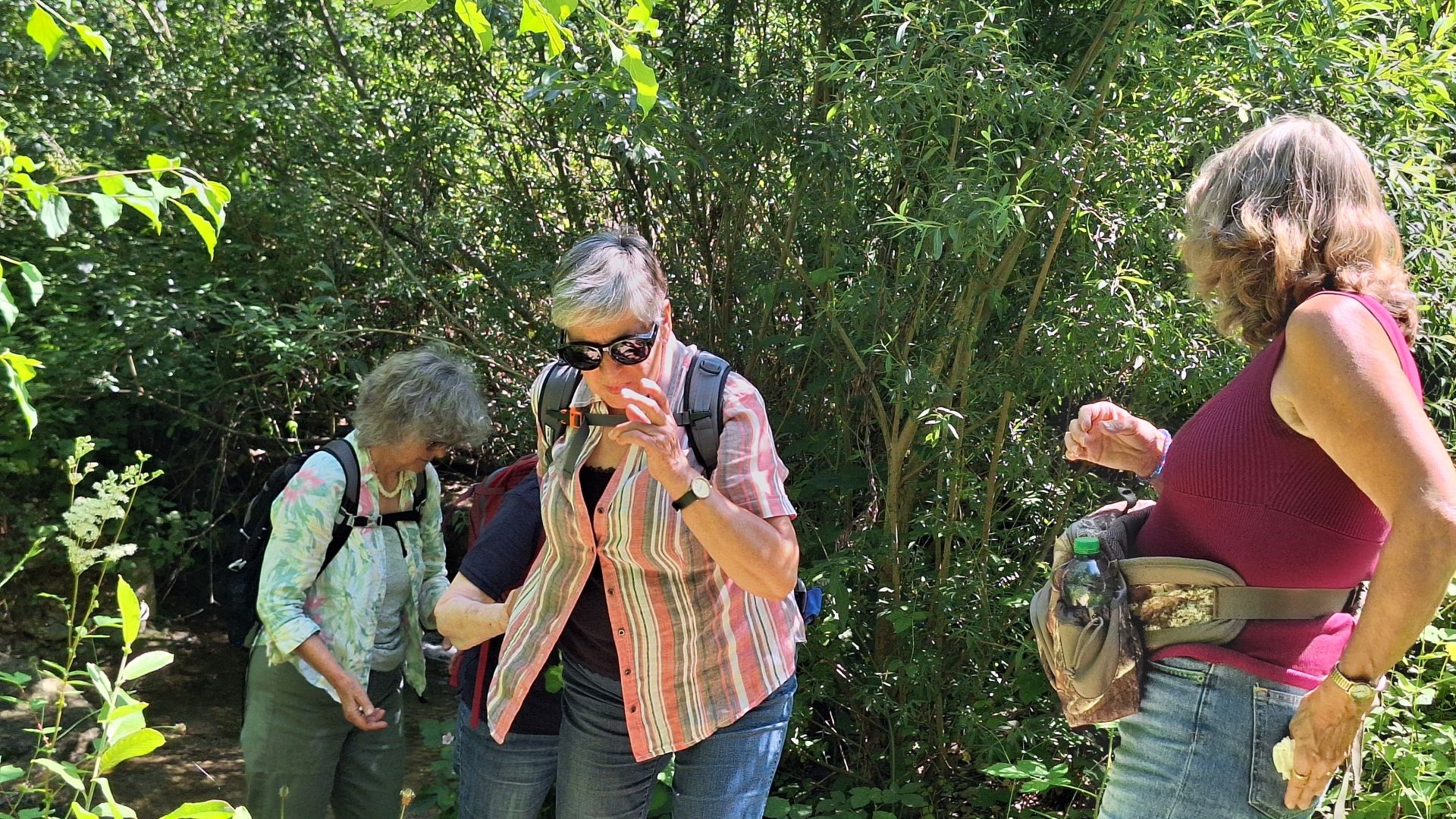 Wanderungen & Ausflüge