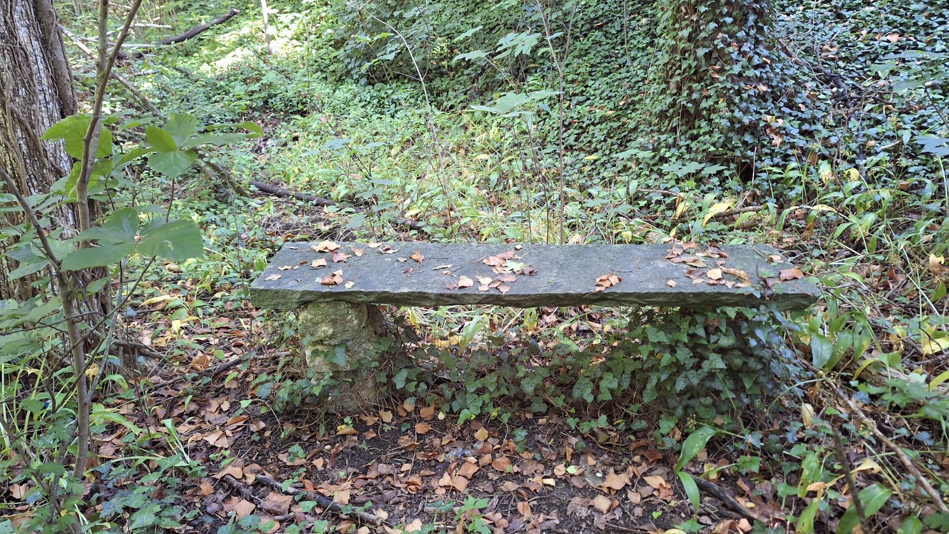 Wanderungen & Ausflüge