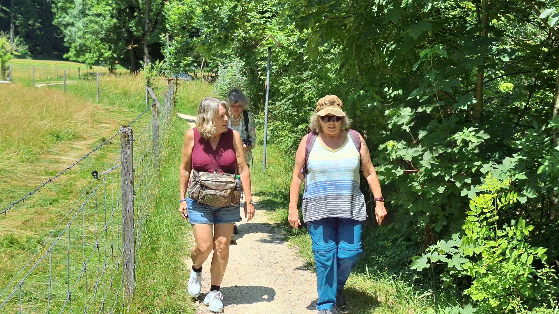 Wanderungen & Ausflüge