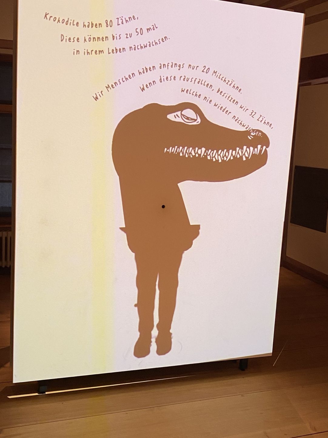 Wanderungen & Ausflüge