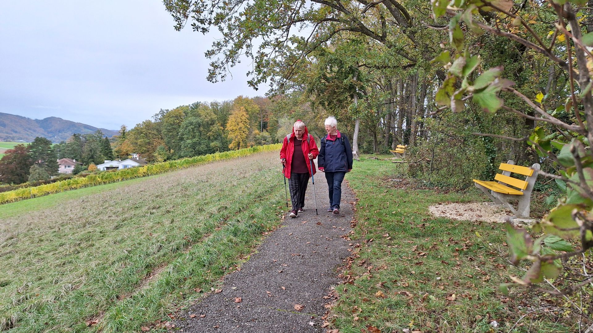 Wanderungen & Ausflüge
