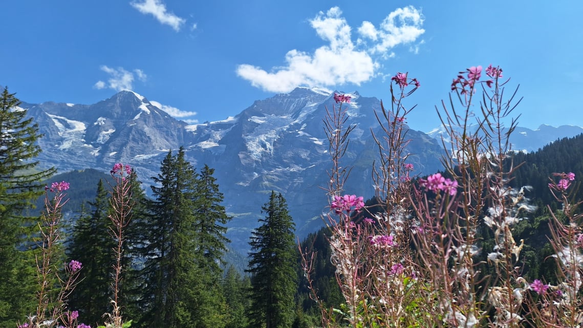 Wanderungen & Ausflüge