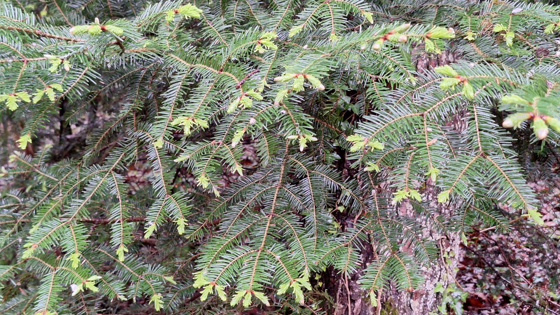 Wanderungen & Ausflüge