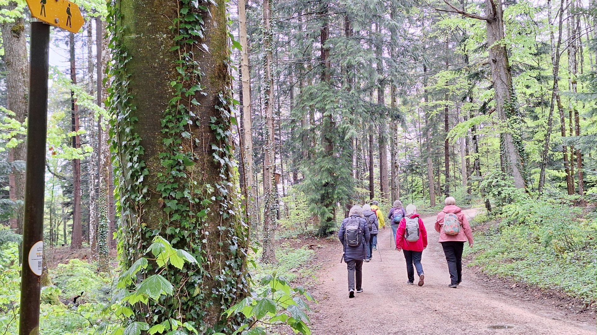 Wanderungen & Ausflüge