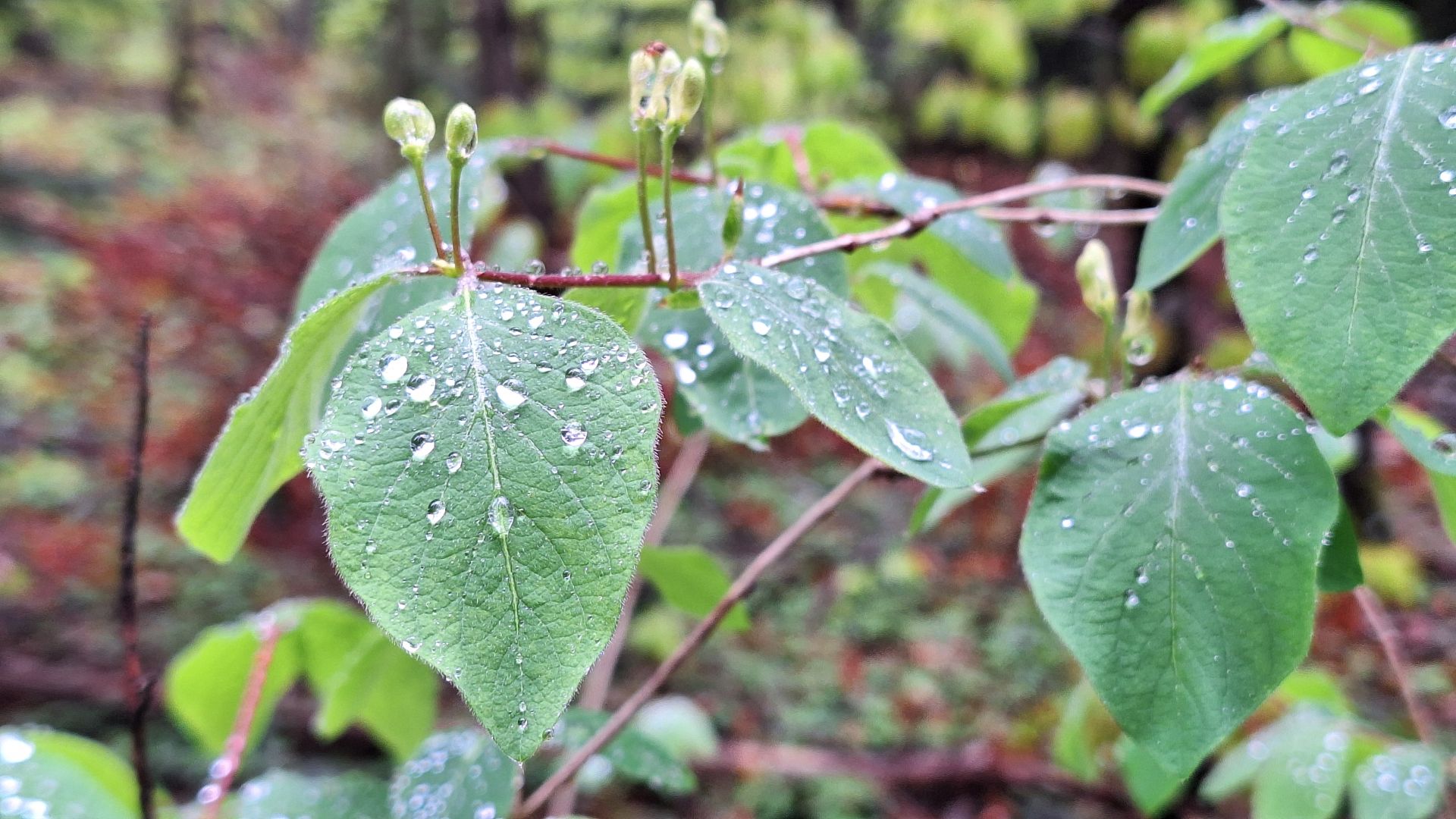 Wanderungen & Ausflüge