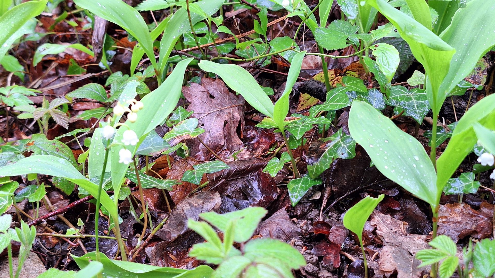 Wanderungen & Ausflüge