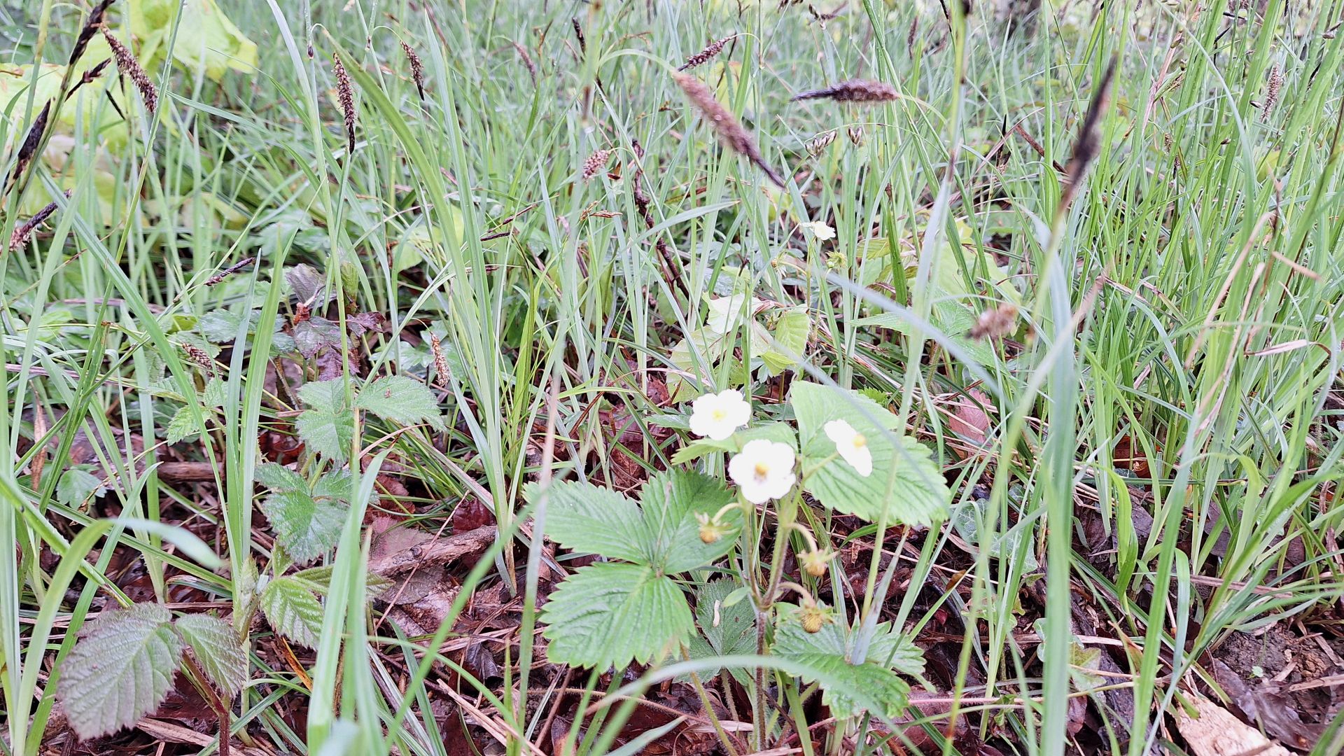 Wanderungen & Ausflüge